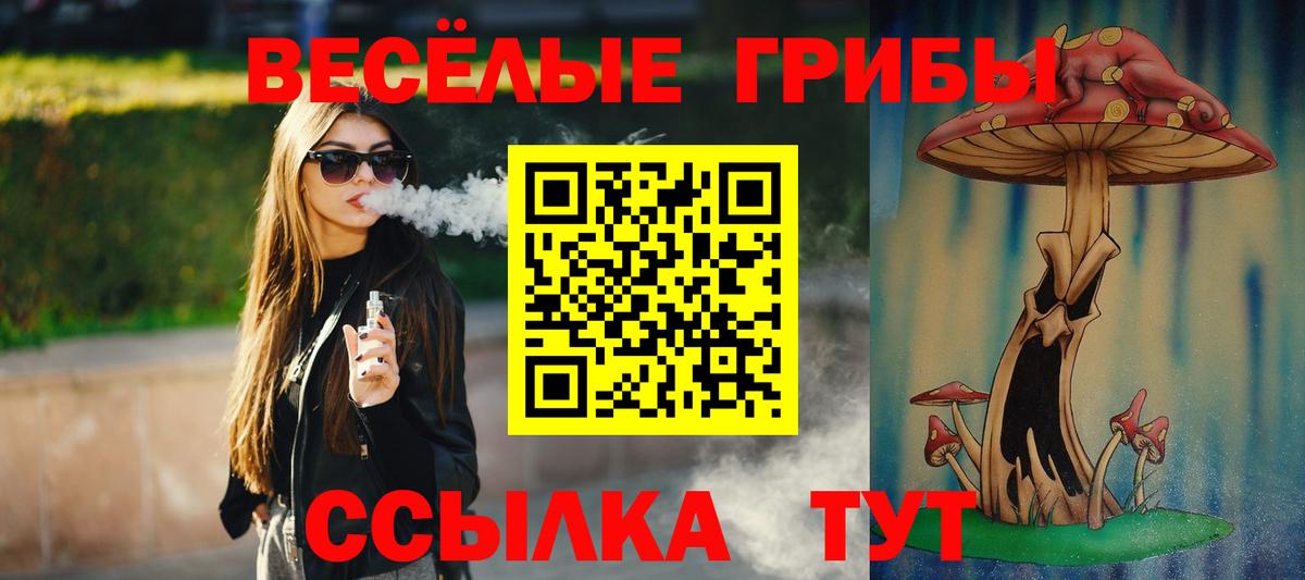 Галлюциногенные грибы ЛСД  магазин    Тулун  Вход с VPN 